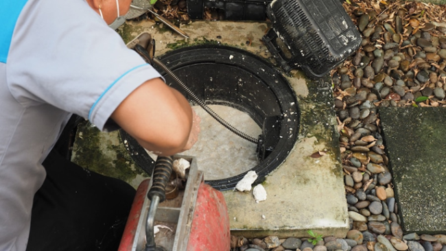 Blocked Drain Repairs Adelaide – How To Deal With Tree Roots In Drains Blocked Drain Repairs Adelaide - How To Deal With Tree Roots In Drains