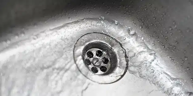 Your Guide to Year-Round Drain Maintenance Your Guide to Year-Round Drain Maintenance